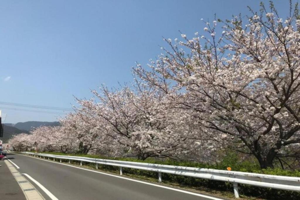 Business Hotel Kawakami Kumano Eksteriør bilde